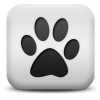 Captcha image 9373